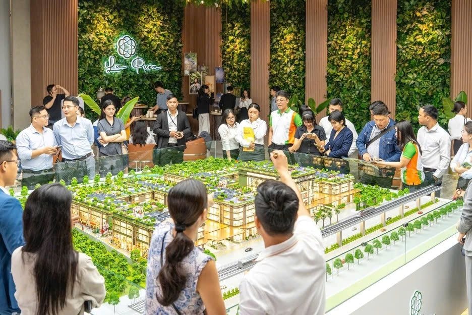 nhu-cau-tim-kiem-bds-tang-manh-tin-hieu-tich-cuc-cho-thi-truong-bat-dong-san-dong-bac-tp-hcm-2